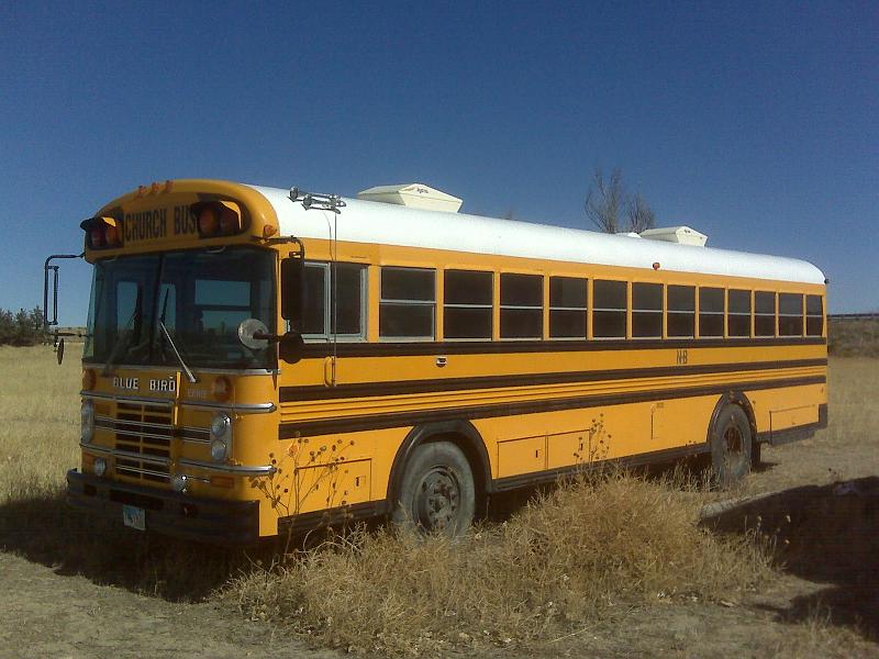 82 Bluebird Exterior.JPG - '82 Bluebird